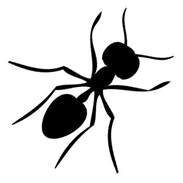 desinfeccion, mantenimiento, matar hormigas, hormigas en casa