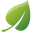 leaf 32